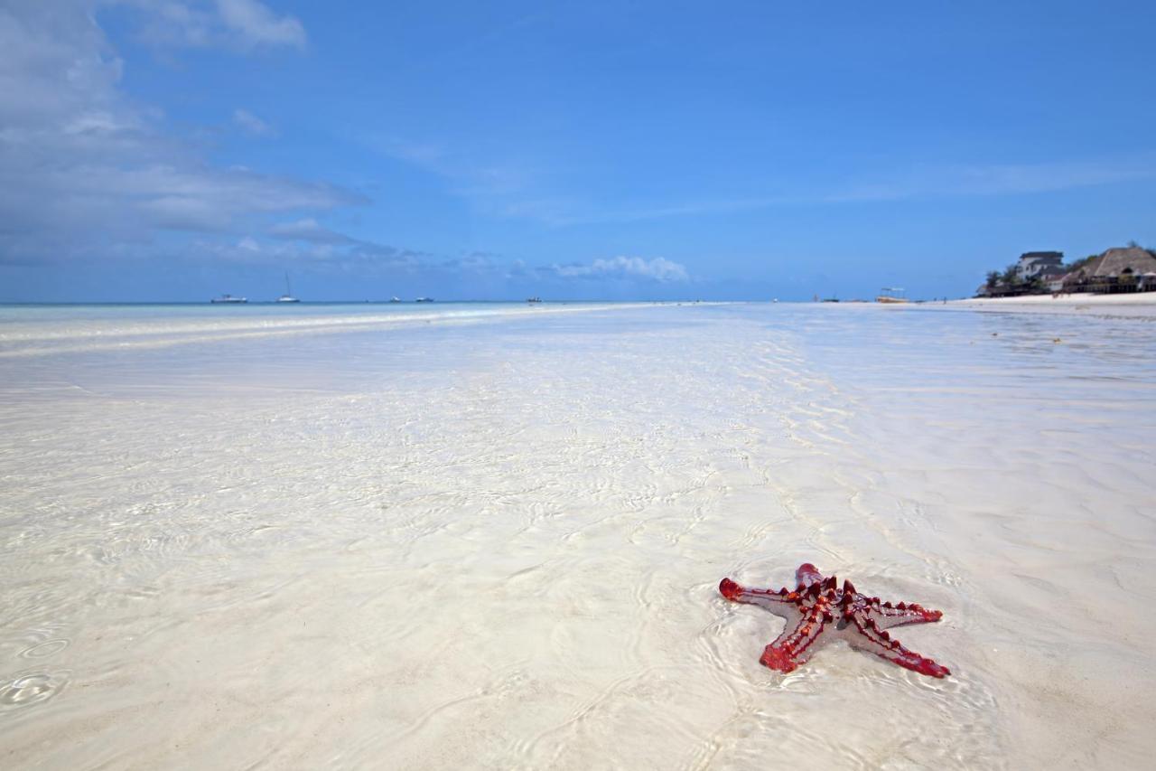 The Zanzibari Hotel Nungwi Kültér fotó